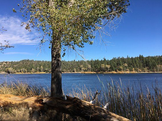 Lynx Lake Recreation Area